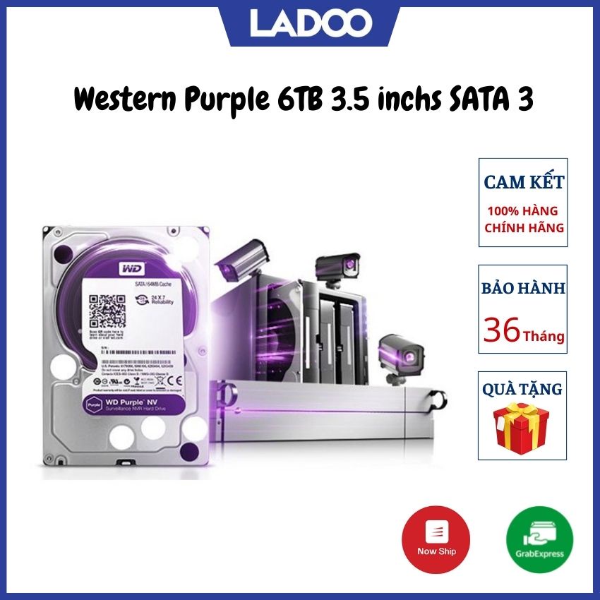 Ổ cứng gắn trong Western Purple 6TB 3.5 inchs SATA 3 64MB Cache/5400RPM (màu tím) - Ổ cứng camera -  Bảo hành 36 tháng