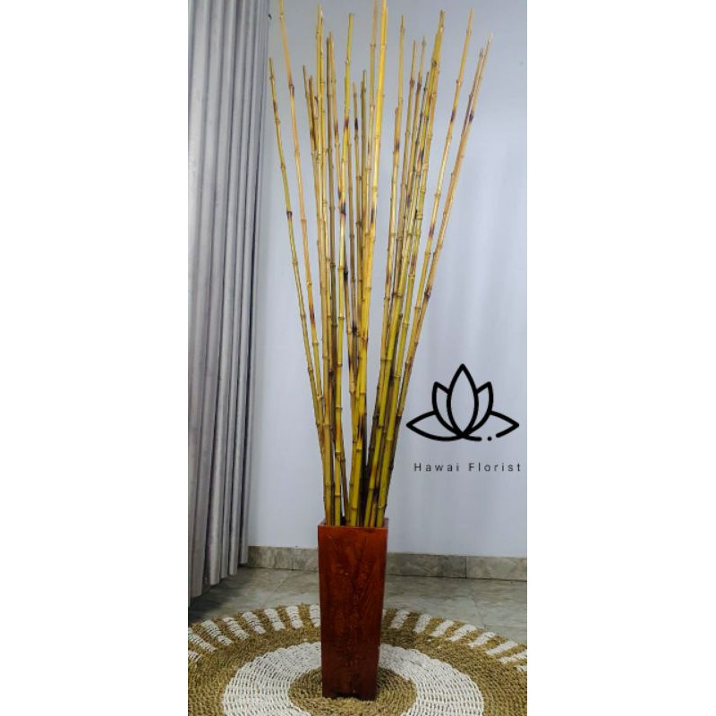 Set 10 cây tre tự nhiên 190cm chuyên dụng | BigBuy360 - bigbuy360.vn
