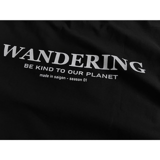 áo Wandering basic tee 01