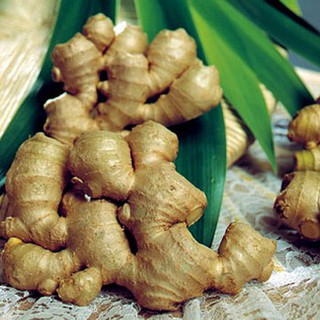 Mứt gừng Huế 100g