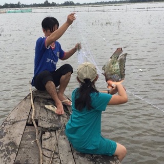 lưới giăng cá 3 màng 4 phân cao 1m2  cá rô phi cá chép
