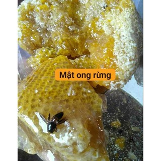 1 lít mật ong rừng, cà phê, bạc hà, xuyến chi  nguyên chất 100%
