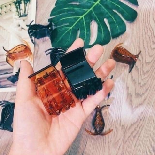 Set 12 kẹp càng cua