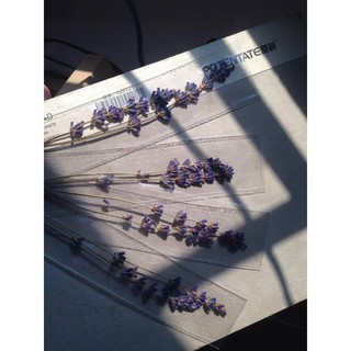 Set Bookmark Lavender Khô