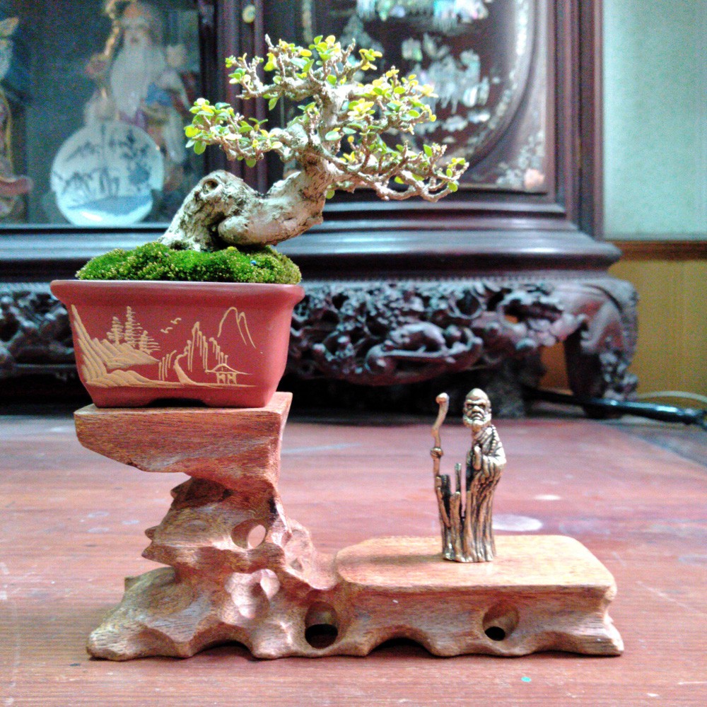 Tượng đồng phong thủy, linh vật bằng đồng làm phụ kiện tiểu cảnh, bày bàn trà, làm quà tặng | BigBuy360 - bigbuy360.vn