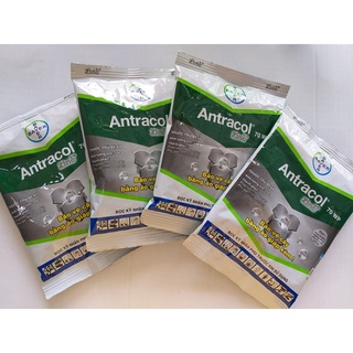Thuốc trừ bệnh Antracol 70WP - Phòng trừ Nấm bệnh Vàng lá thối rễ Phục hồi sau bệnh - 100gr
