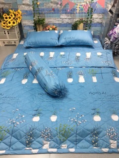 TRỌN BỘ DRAP MỀN COTTON POLLY