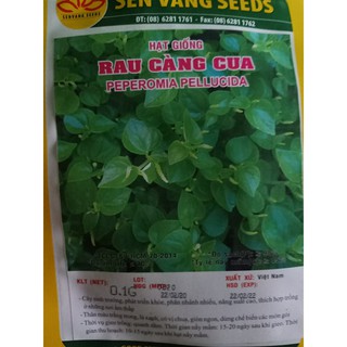 Hạt giống rau càng cua