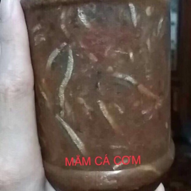 MẮM MỰC, MẮM RUỐC, MẮM CÁ CƠM NGUYÊN CON