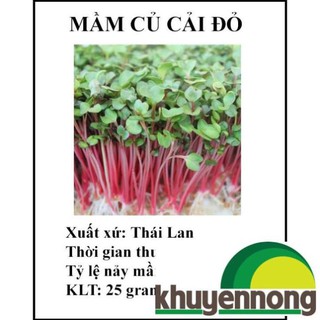 25 gram hạt giống mầm củ cải đỏ