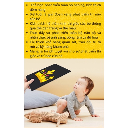 Bộ tranh kích thích thị giác cho bé sơ sinh giúp bé phát triển toàn diện