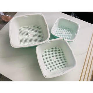 Bộ 3 rổ kèm thau ECCO