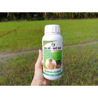 RA RỄ NỞ BỤI  (chai 500ml) - RA RỄ KHỎE, NỞ BỤI NHANH, CẢI TẠO ĐẤT
