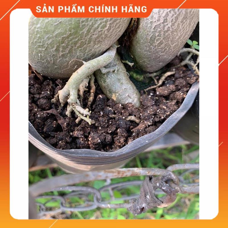 Phân Gà Viên Nở Nhật Bản Japadi hoặc Aki - 1KG MSP86271