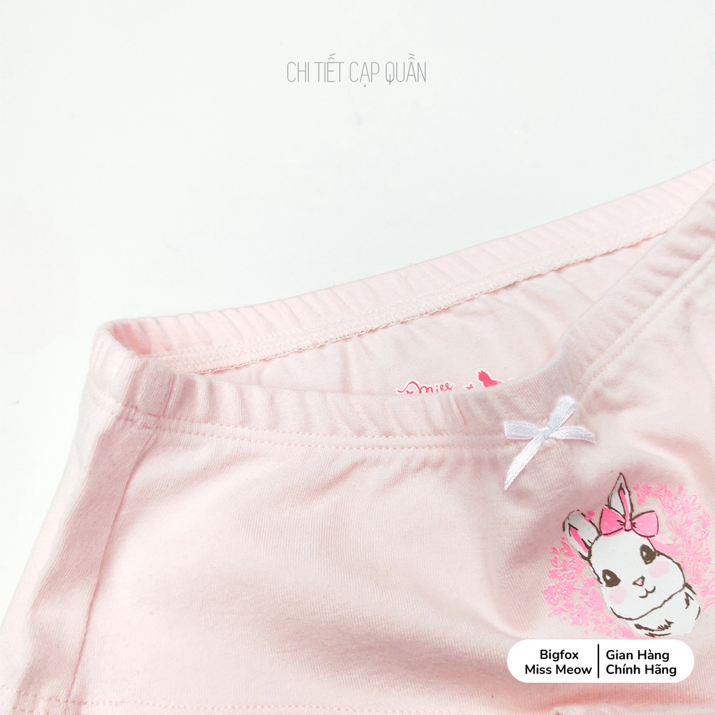 Set quần chip tam giác bé gái Bigfox - Miss Meow chất cotton cao cấp cho bé gái 10-36kg, size đại in thỏ xinh xắn