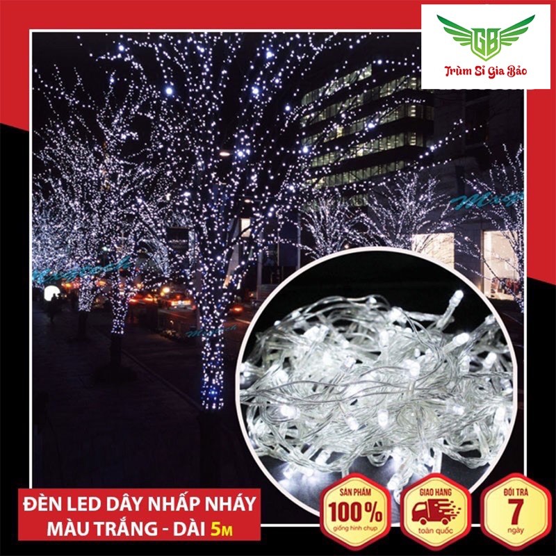 Dây Đèn Led Nhấp nháy ✨FREESHIP✨ Đèn Nháy Trang Trí Nhấp Nháy Tự Động  Dài 5M Cao Cấp. | BigBuy360 - bigbuy360.vn