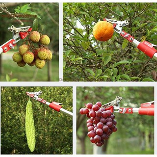Kéo cắt cành trên cao
