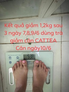 Trà Giảm Cân Cattea
