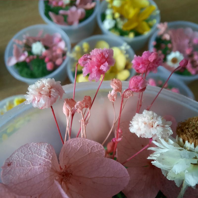 Hộp hoa khô nhỏ dùng trong thủ công sáng tạo Resin, Tranh Hoa, Nến, Soap...vào các bạn sử dụng ít.