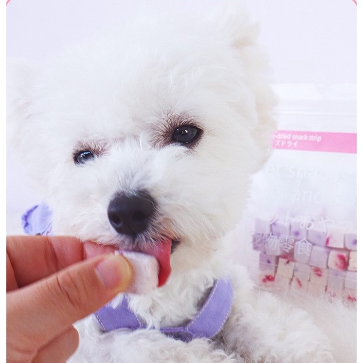 Sữa chua trái cây sấy khô lạnh thức ăn dinh dưỡng cho chó mèo hamster, sóc, thỏ, bọ