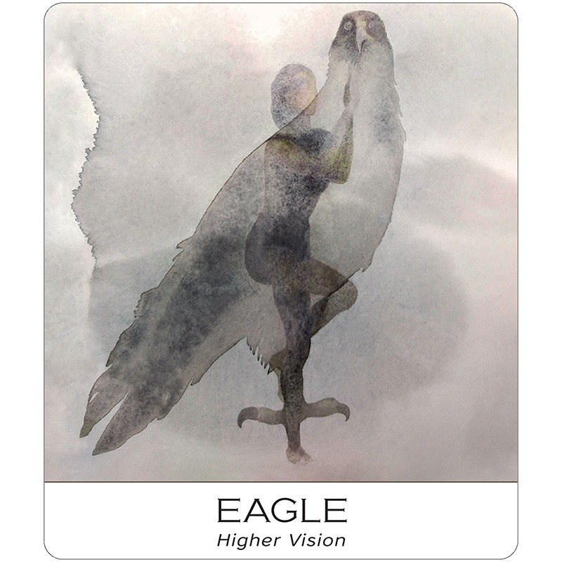 Bộ Bài Nature and Soul Yoga Wisdom Cards (Mystic House Tarot Shop) - Bài Gốc Authentic Chính Hãng 100%