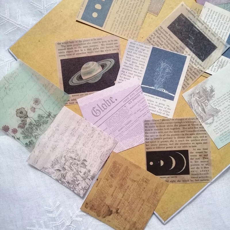 Set mix 30 tấm giấy nền vintage chủ đề văn bản tạp chí xưa và thực vật cổ điển cho bullet journal - ginandtonic