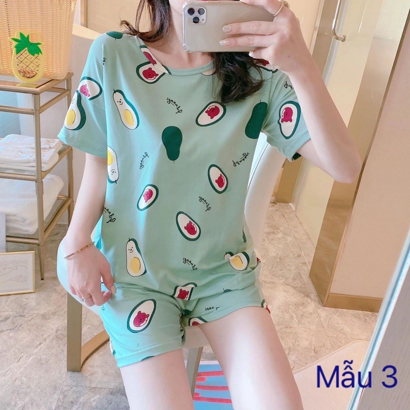 Bộ đồ ngủ thun cộc tay cho nữ ( Giao ngẫu nhiên)