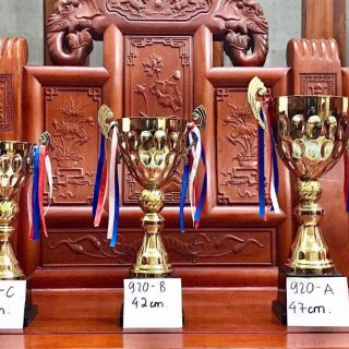 Cúp lưu niệm loại to nhất