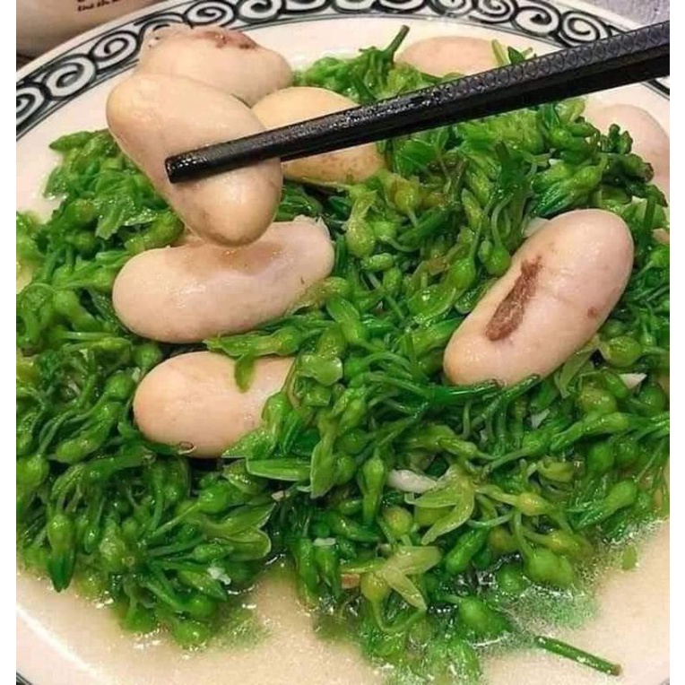 Ngọc kê gà. Hộp 500g