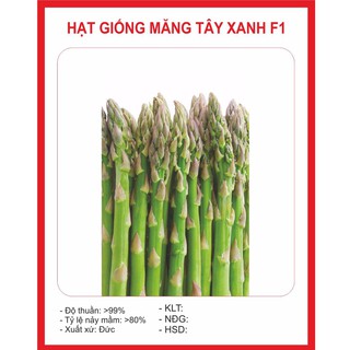 [HẠT GIỐNG GREEN] Hạt Giống Măng Tây Xanh 10 Hạt