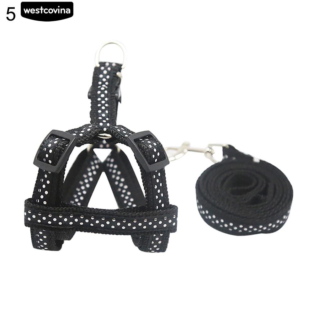 Dây Dắt Chó Đi Dạo Tiện Lợi Màu Sắc Sặc Sỡ