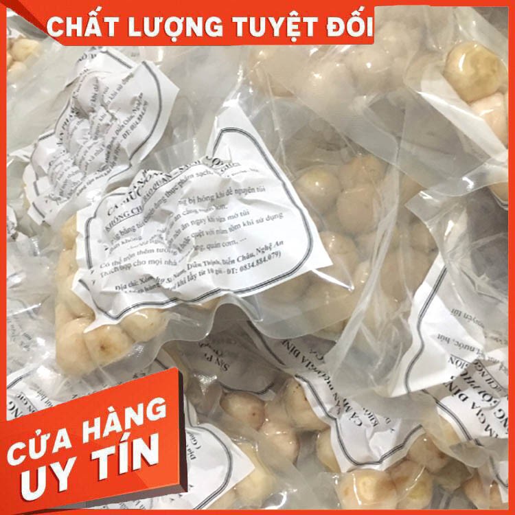 [Đặc sản quê] Cà muối xứ Nghệ - Chỉ bán buôn từ 40 gói trở lên cho điểm bán lẻ, nhà hàng cơm, quán cơm, vv