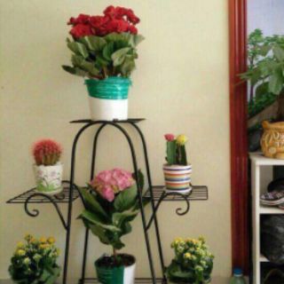 Kệ sắt để cây cảnh