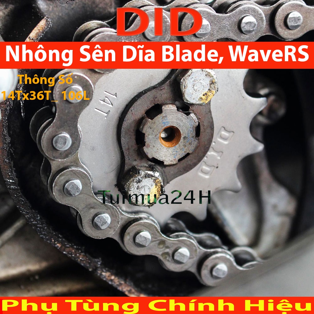 Nhông sên dĩa DID xe Wave Blade , Wave RS, Future Neo