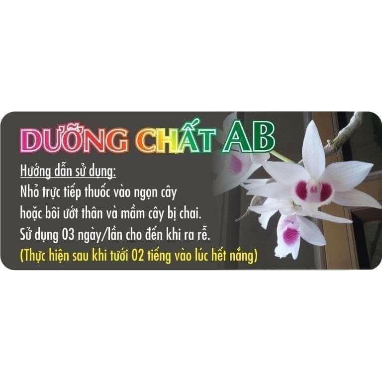 💢💢💢 Dưỡng Chất AB – Phục Hồi Cây Bị Sốc Thuốc, Không Ra Rễ, Thân Chai Lì Không Nhú Mầm 💢💢💢