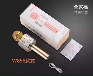 Mic hát karaoke WS 858