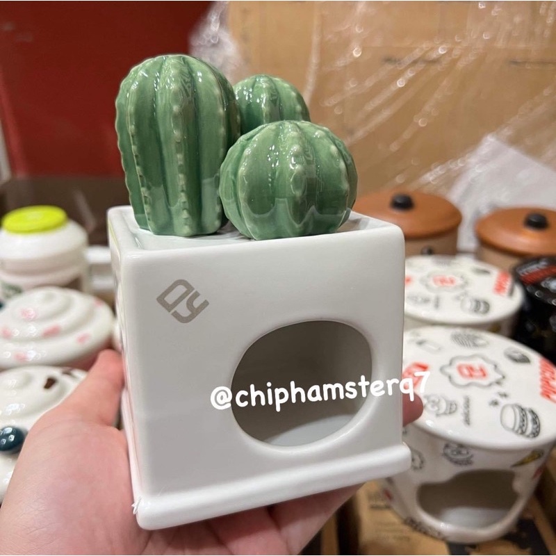 Nhà sứ Dayang siêu xinh ♥️