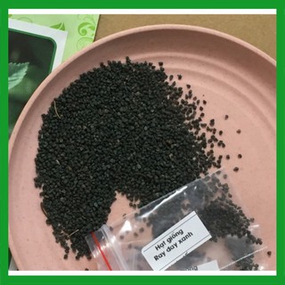 Hạt giống rau Đay Trắng