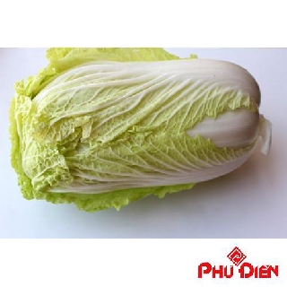 200 hạt giống rau cải thảo  PHÚ ĐIỀN