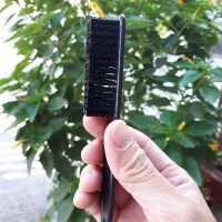 Chổi phủi tóc Andis