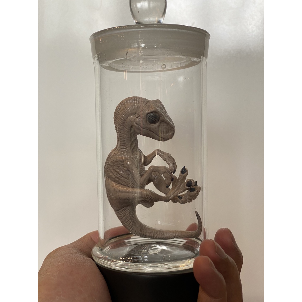 Mô hình lọ phôi Velociraptor chính hãng Rebor