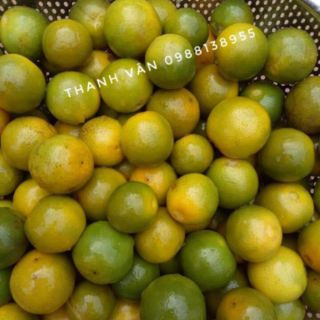 1KG CHÈ LAM GẤC(HỘP ĐẸP)