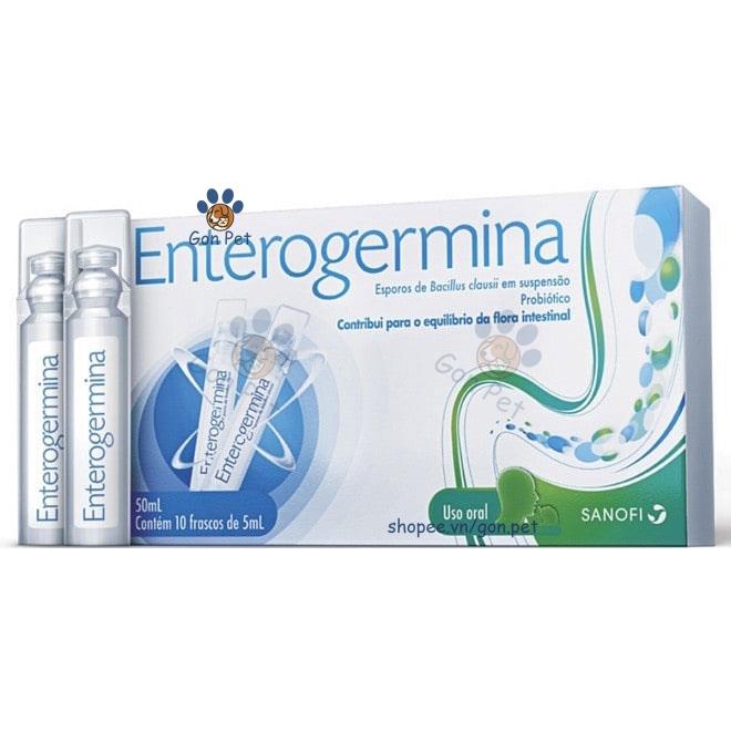 Enterogermina 5ml Ống Men Tiêu Hóa, Men Vi Sinh Đường Ruột Cho Chó Mèo
