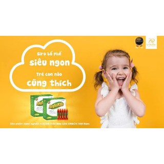 [HẾT HO - MŨI- HẠN CHẾ KHÁNG SINH] Siro ho bổ phế - VIỆN HÀN LÂM KHCNVN