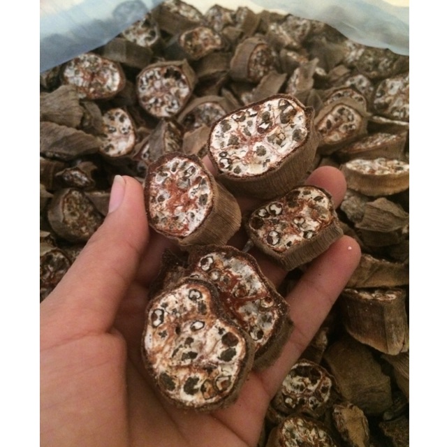 CHUỐI RỪNG THÁI MIẾNG