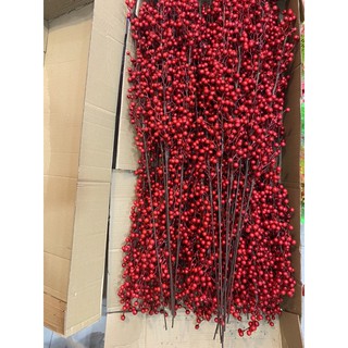 đào đông trái xoắn