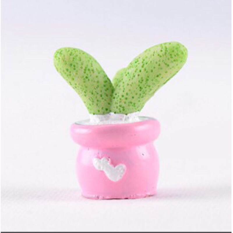 Set 4 Cây Xương Rồng Giả Bằng Nhựa Dùng Để Trang Trí Bàn Làm Việc