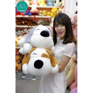 Chó Bông Mắt Đốm