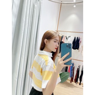 Áo polo Croptop sơ mi