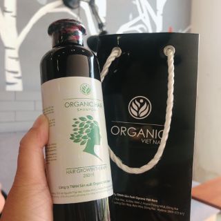 Dầu gội organic hair